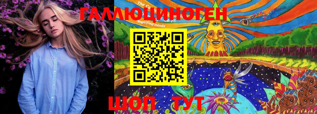 Галлюциногенные грибы Cubensis  Галлюциногенные грибы прущие грибы  Вход с VPN  Шуя 